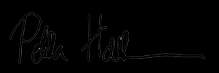 Fake signature
